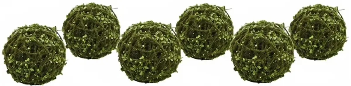 Elowen Updated Traditional Green Faux Rattan Moss Ball - Set of 6