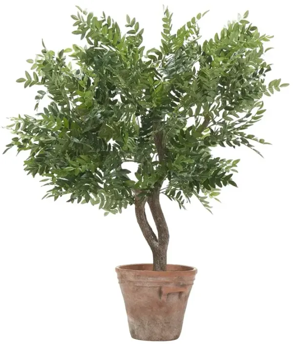Amara French Country Green Faux Locust Potted Tree