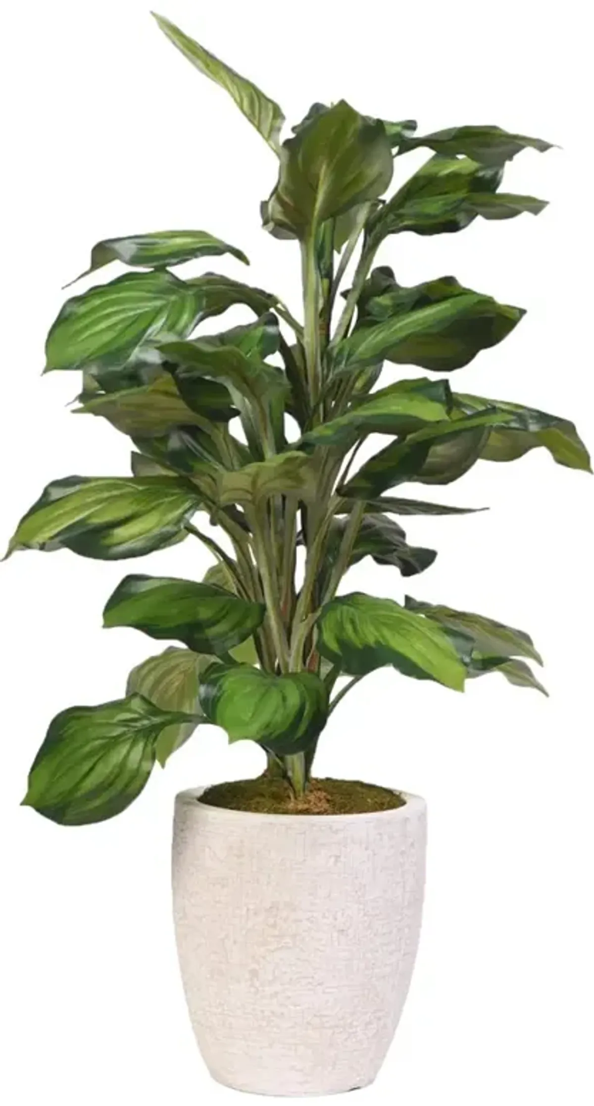 Aurelia Modern Classic Green Faux Hosta Tree - 3.5'