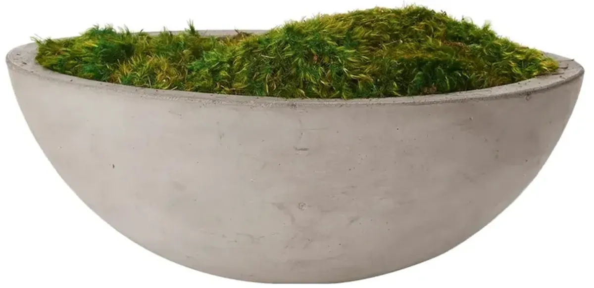 Caelan Updated Traditional Green Preserved Mood Moss