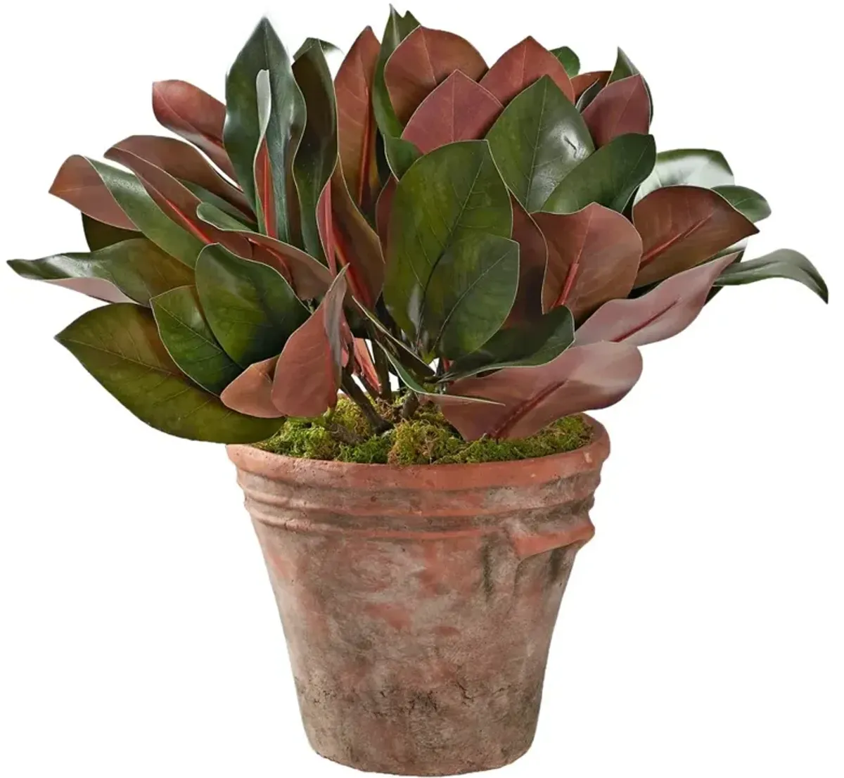 Dorian Updated Traditional Green Faux Magnolia Leaf Planter