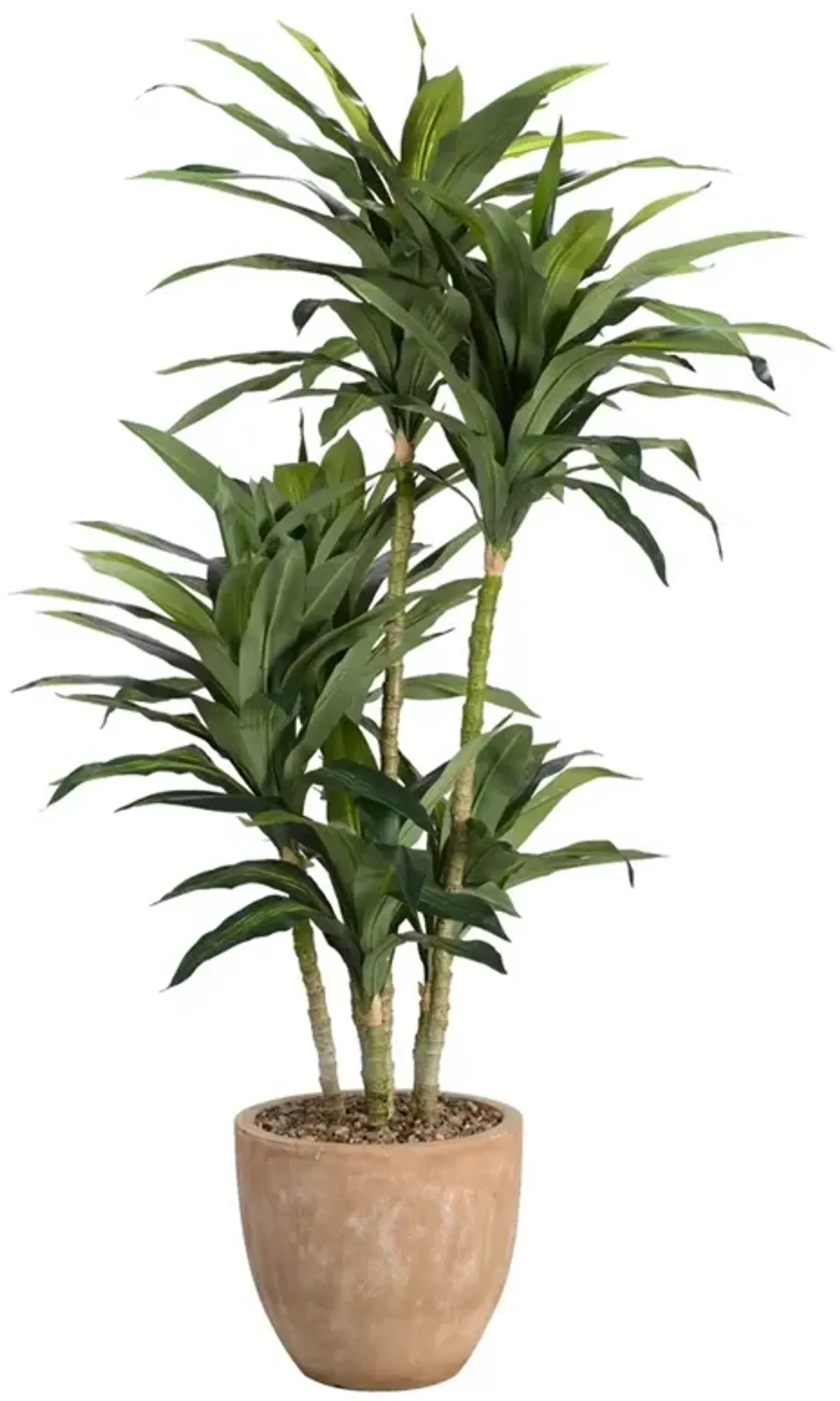 Sorrel Updated Traditional Green Faux Dracaena Potted Tree