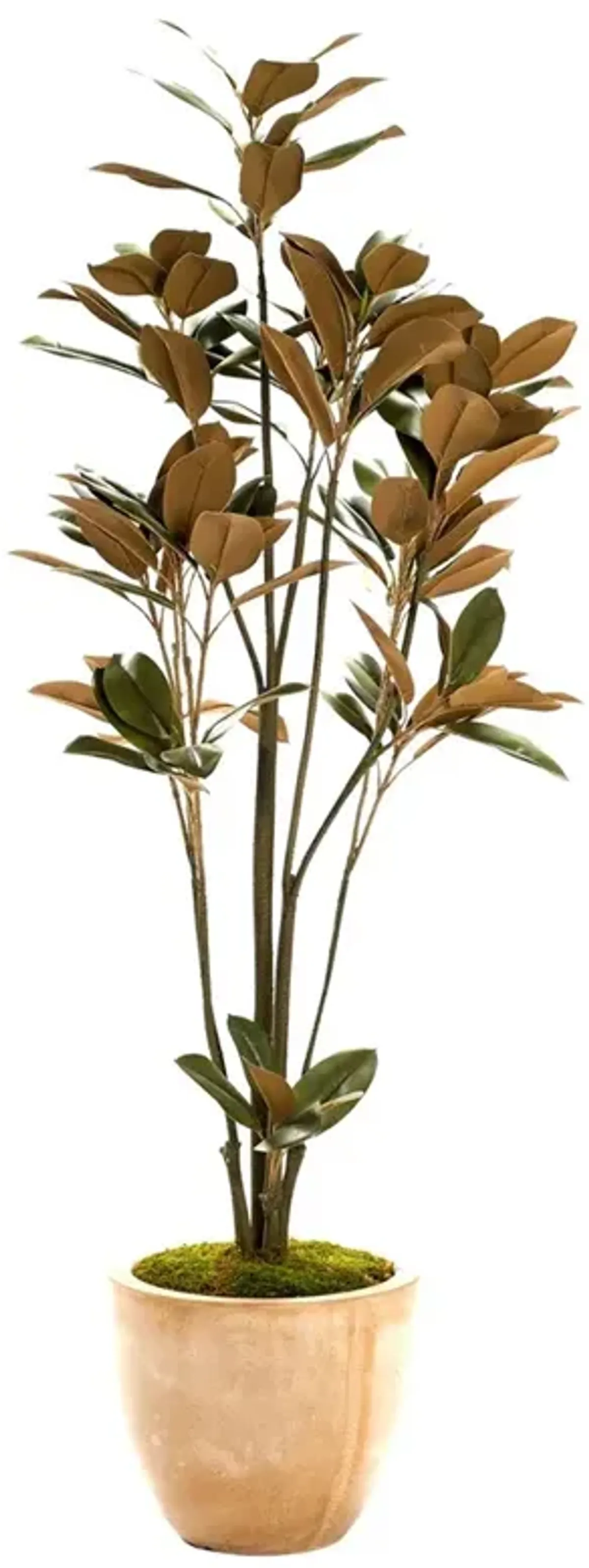 Bastian Updated Traditional Green Faux Magnolia Potted Tree