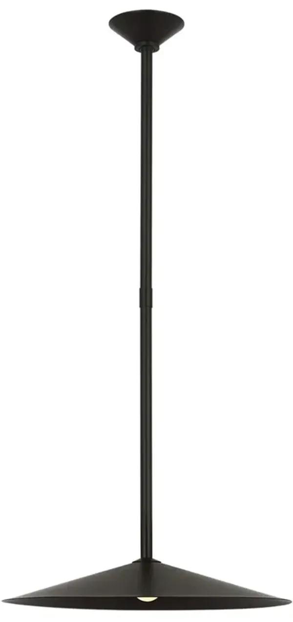 Visual Comfort Ponce Updated Traditional Iron Single Pendant - 18"