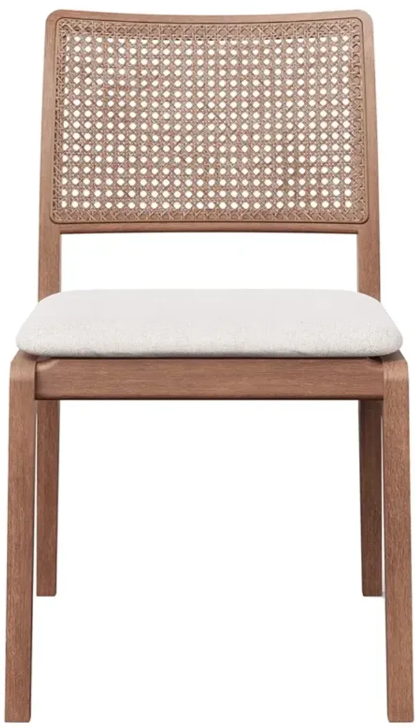 Mina Modern Classic Dark Brown Wood Cane Dining Side Chair