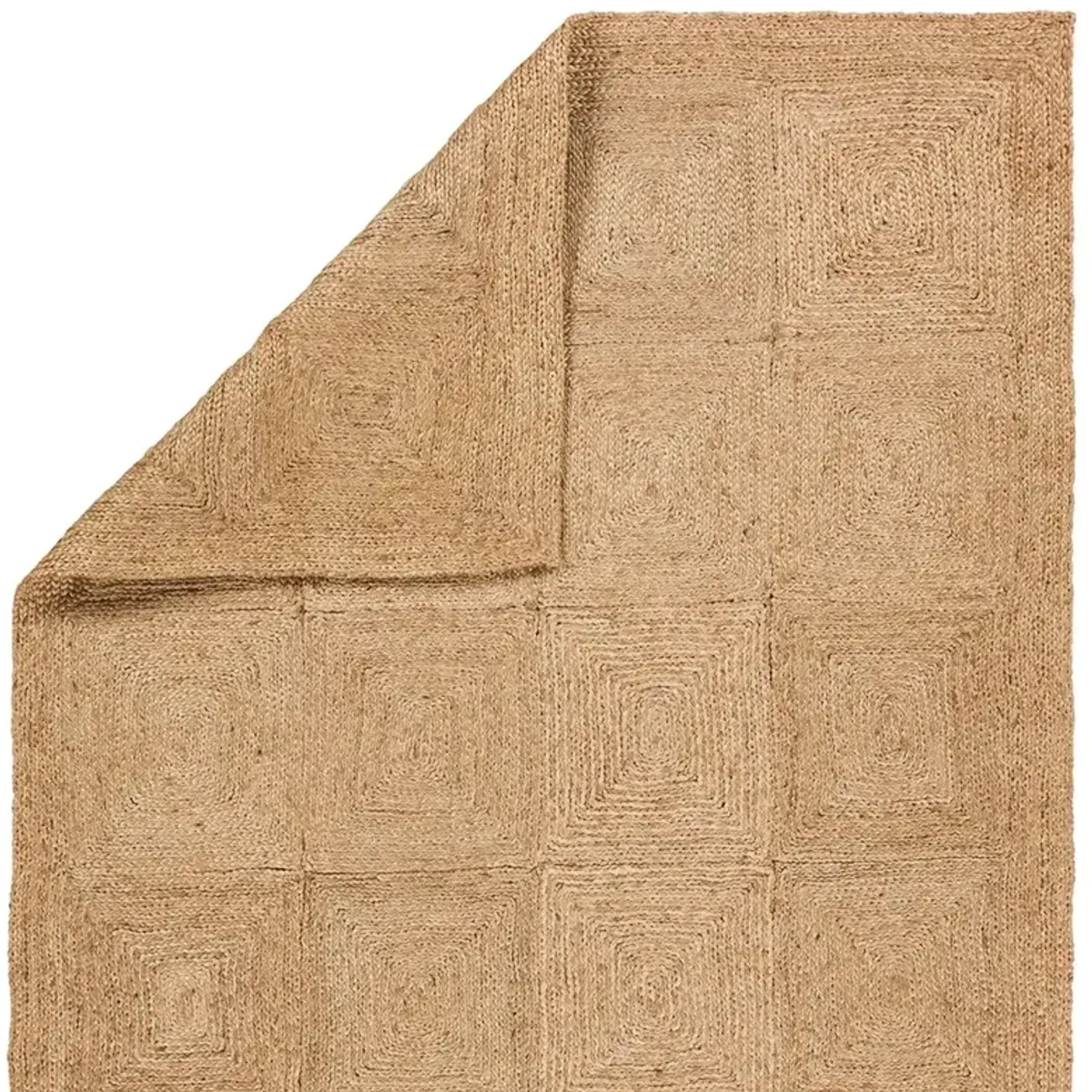 Brigida Coastal Beach Brown Handwoven Jute Rug - 10'x14'