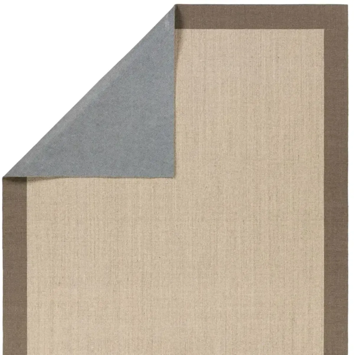 Rudo Coastal Beach Beige Sisal Border Rug - 3'x10'