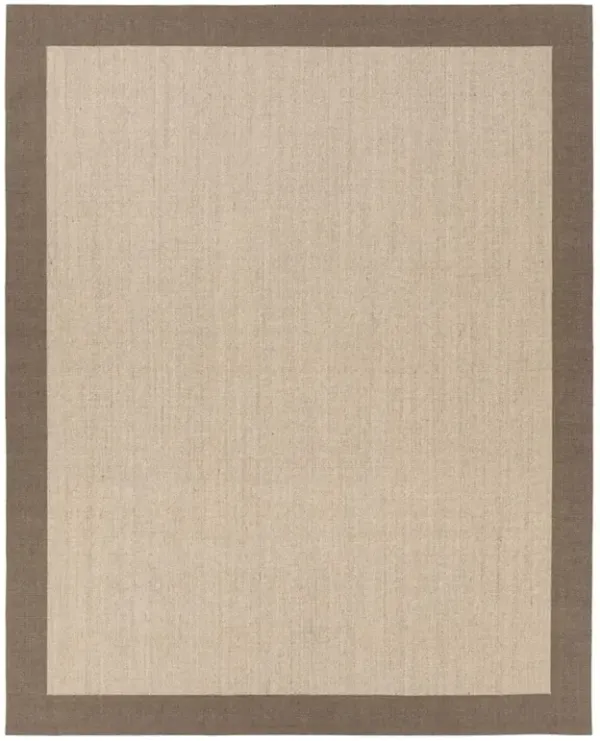 Rudo Coastal Beach Beige Sisal Border Rug - 3'x10'
