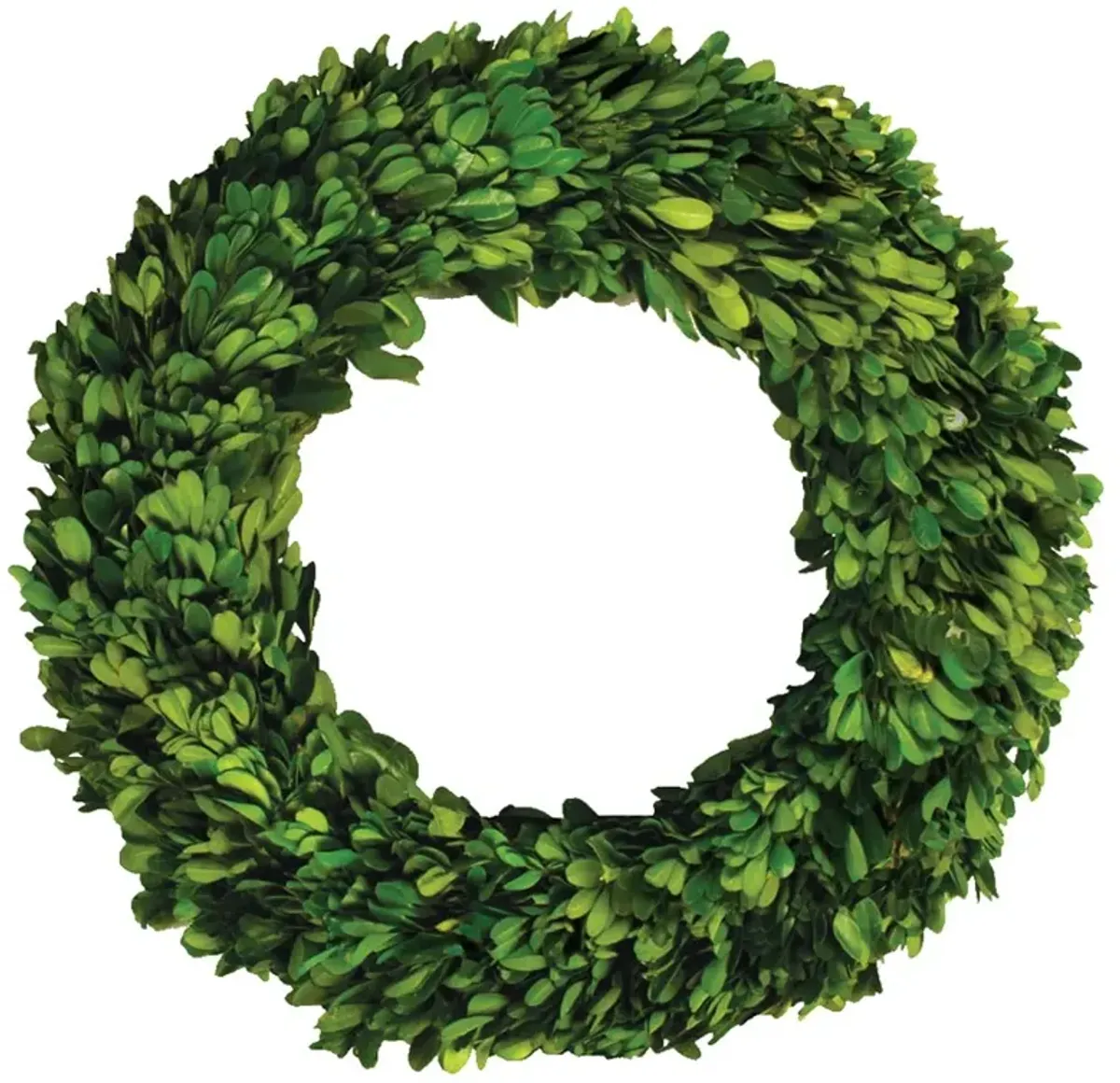 Marin French Country Green Boxwood Wreath - 12"