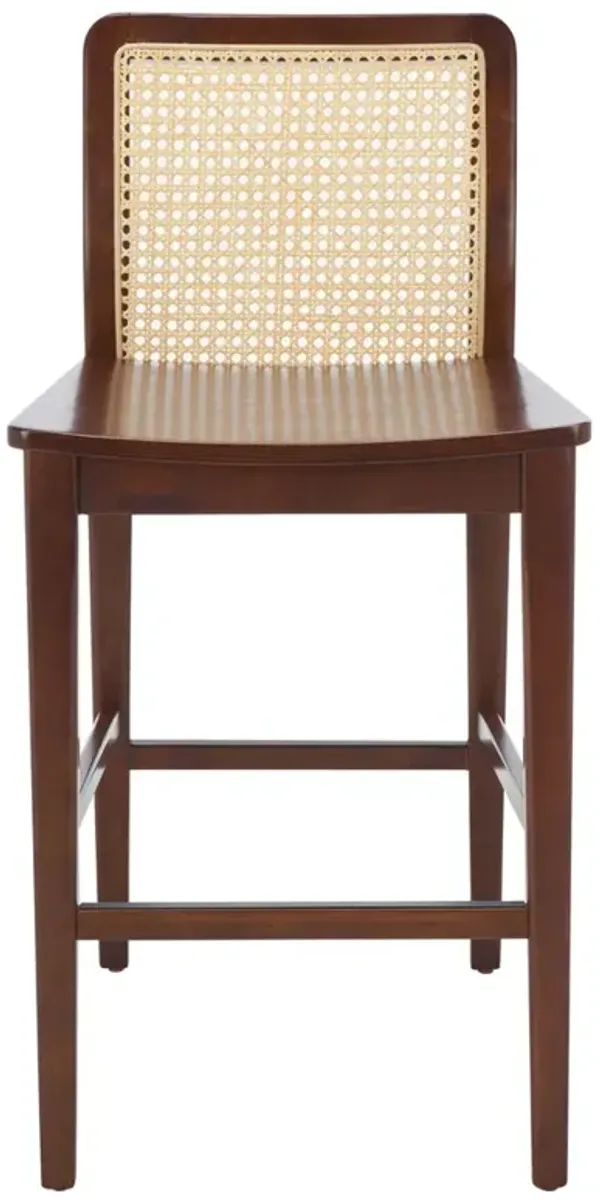 Diana Modern Classic Dark Brown Wood Woven Rattan Counter Stool - Set of 2