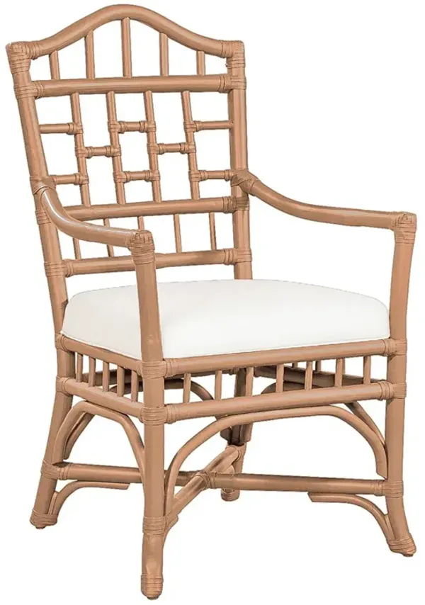 Judy Coastal Beach White Performance Brown Rattan Dining Arm Chair