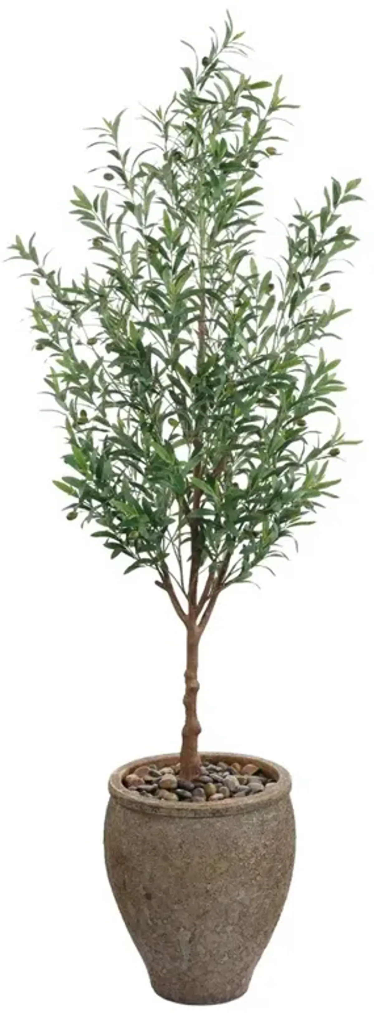 John Richard Italian Updated Traditional Green Olive Tree Brown Ceramic Pot