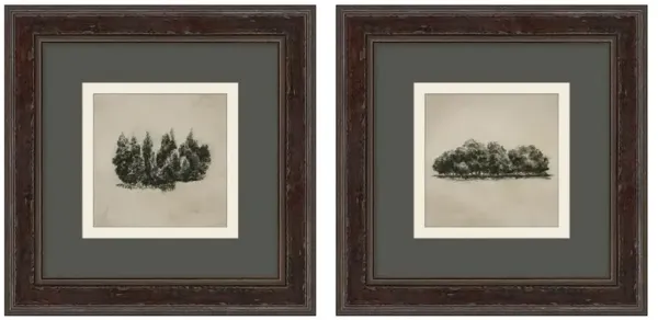 Anselm Rustic Grey Forest Dark Walnut Frame Diptych Illustration - 14x14