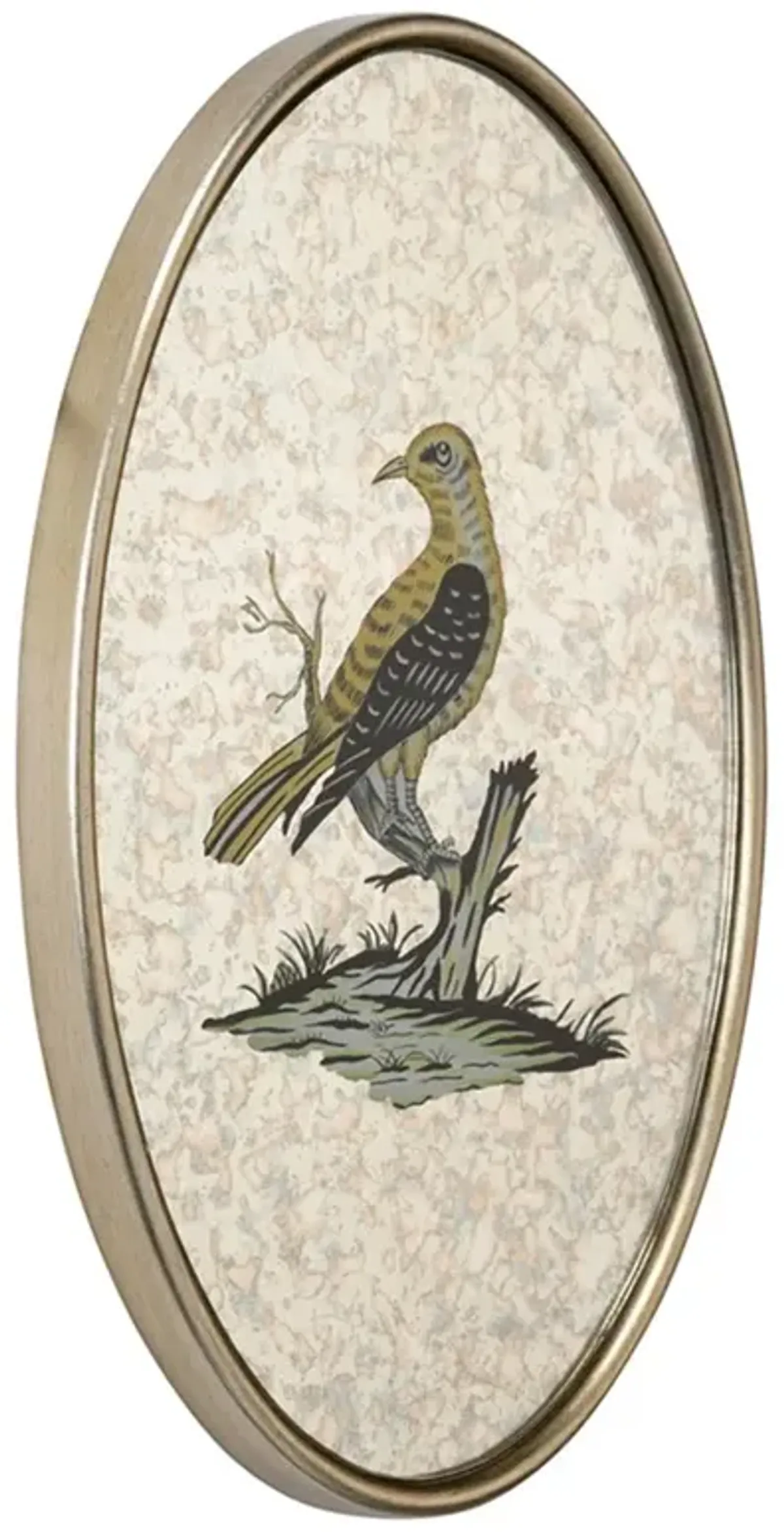 Delara Traditional Yellow Bird Antiqued Mirror Mixed Media - 15x10