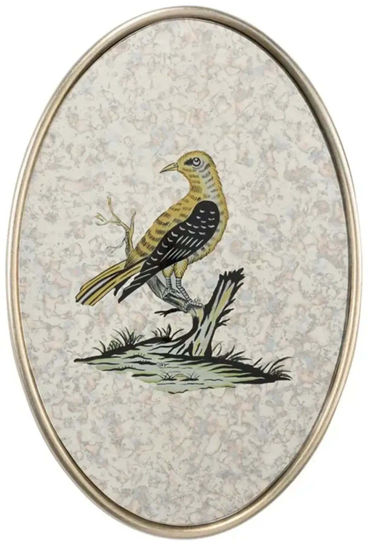 Delara Traditional Yellow Bird Antiqued Mirror Mixed Media - 15x10
