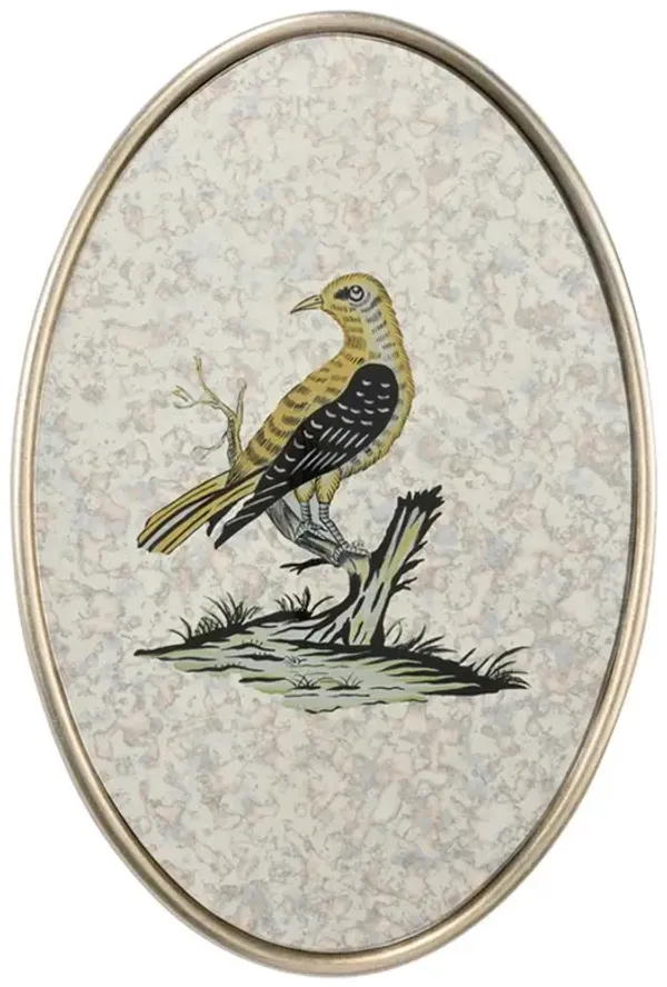 Delara Traditional Yellow Bird Antiqued Mirror Mixed Media - 15x10