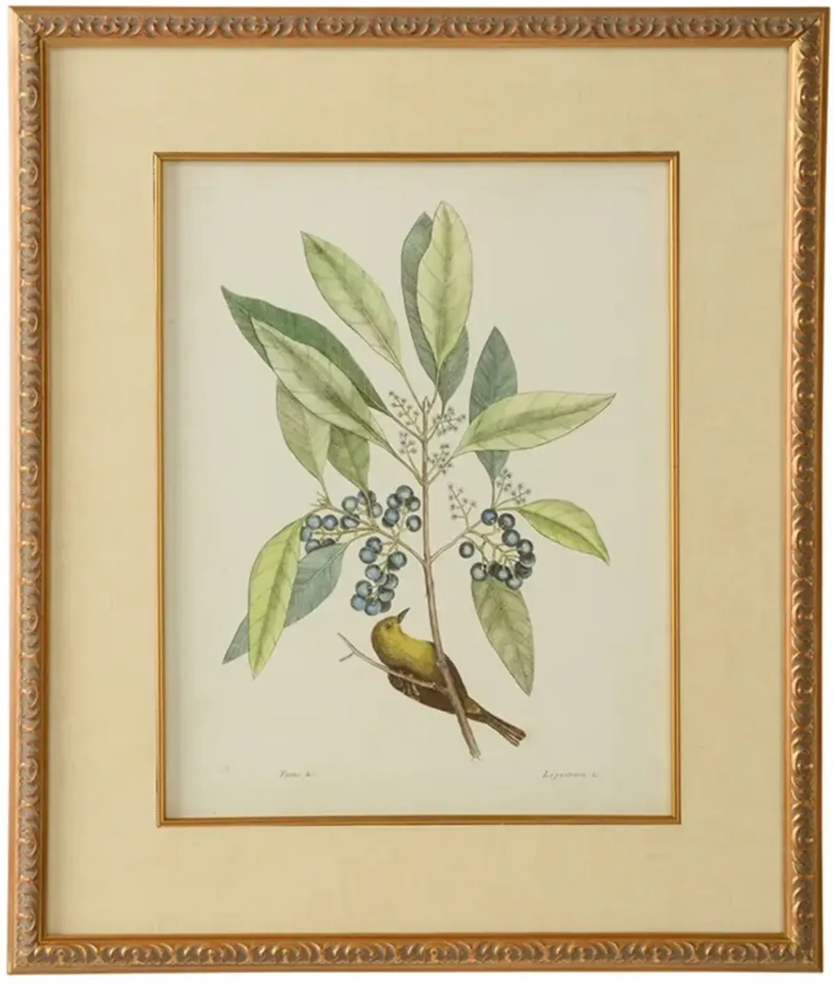 Thalina French Country Grey Chateau Black Frame Illustration - 22x26