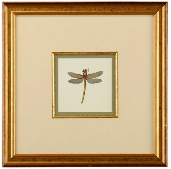 Astrid Updated Traditional Green Dragonfly Gold Frame Illustration II - 19x19