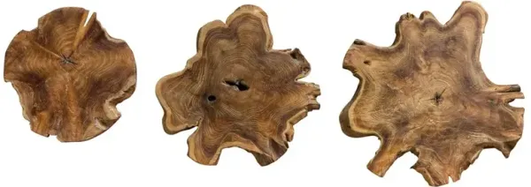 Kehlani Rustic Lodge Natural Teak Wall Decor - Set of 3