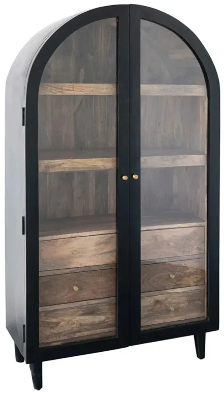 Ysabel Modern Classic Black Mango Wood Glass Arched Cabinet