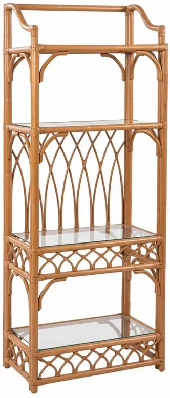 Daria Coastal Beach Brown Woven Rattan Etagere