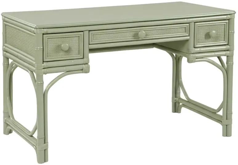 Elliana Coastal Beach Green Rattan Desk