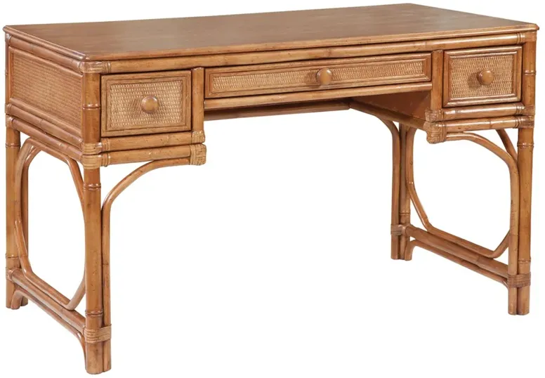 Elliana Coastal Beach Brown Rattan Desk
