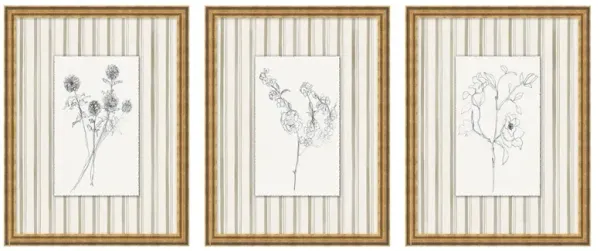 Islaine French Country Black Floral Antique Gold Frame Triptych Illustration