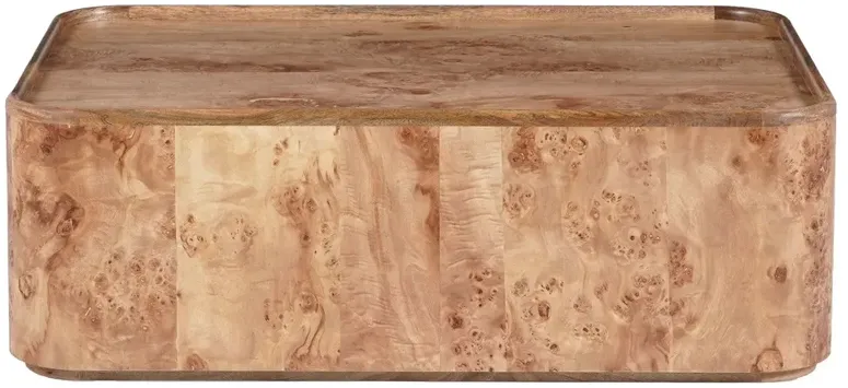 Trixie Modern Classic Burl Wood Rectangular Coffee Table