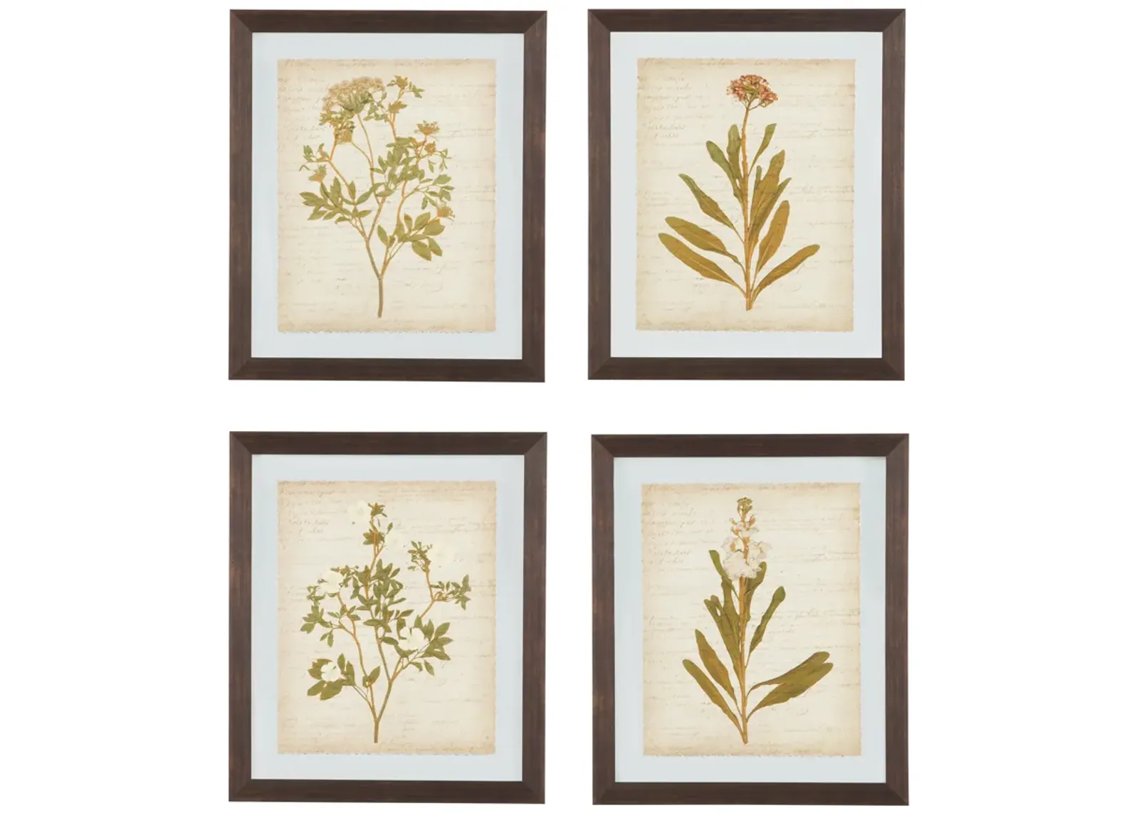 Dyani Wall Art (Set of 4)