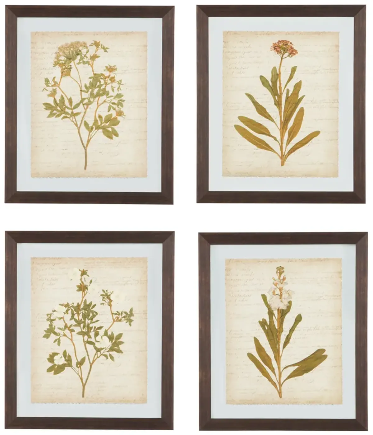 Dyani Wall Art (Set of 4)