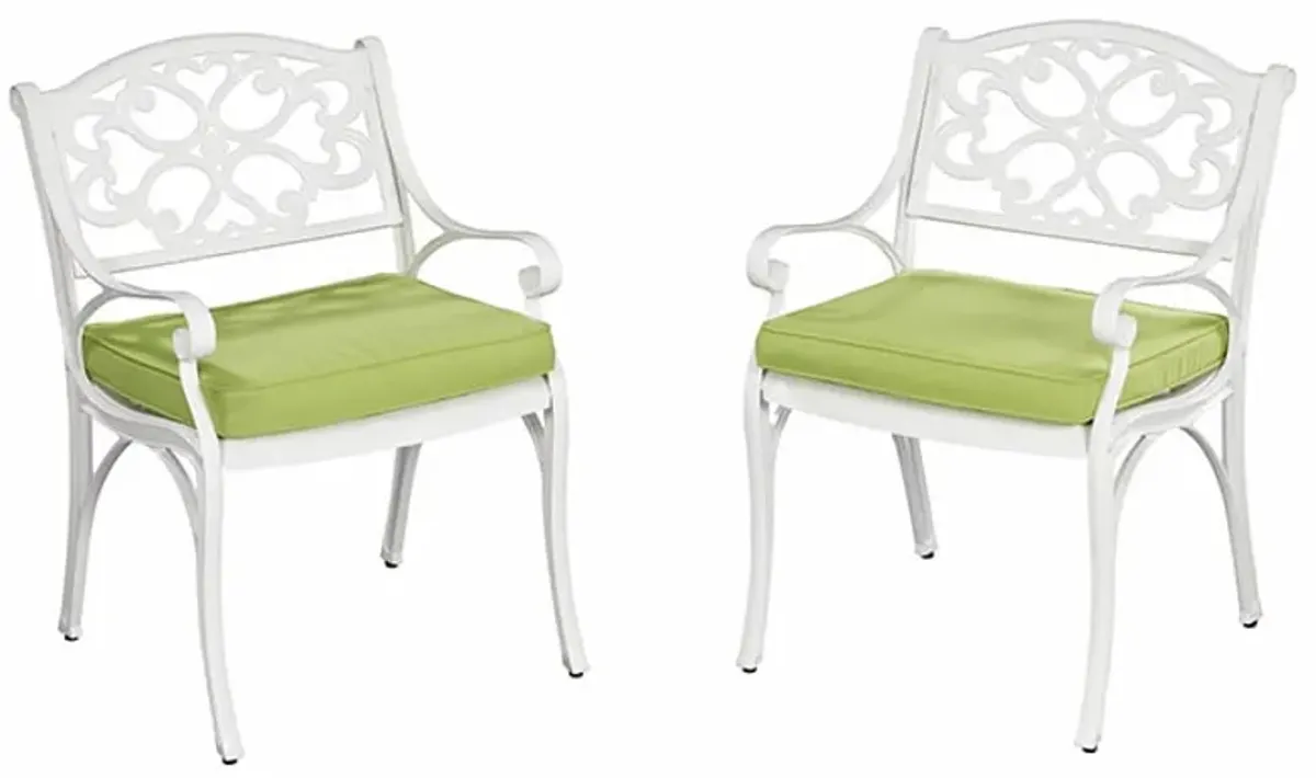 Sanibel Outdoor Chair Pair