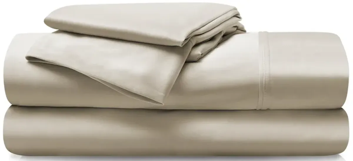 DriTec Split Head King Sheet Set in Beige