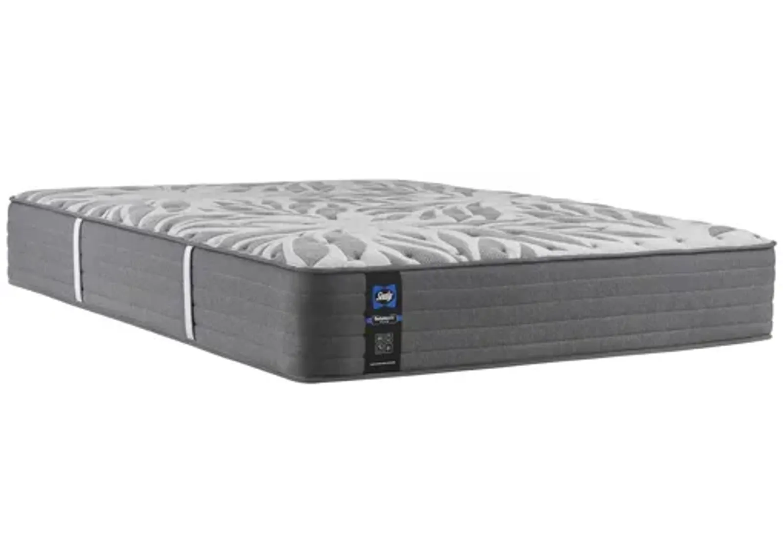 Sealy Master Suite Plush Twin XL Mattress