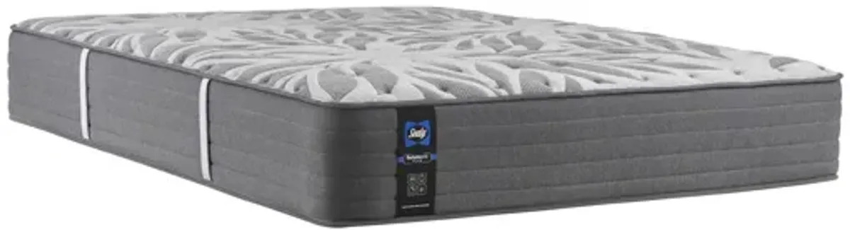 Sealy Master Suite Plush Twin XL Mattress