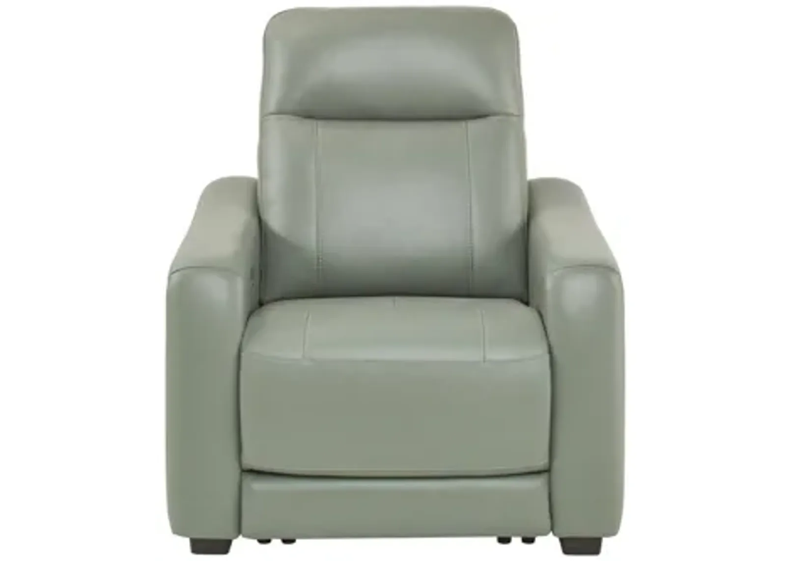 Newport Leather Power Recliner