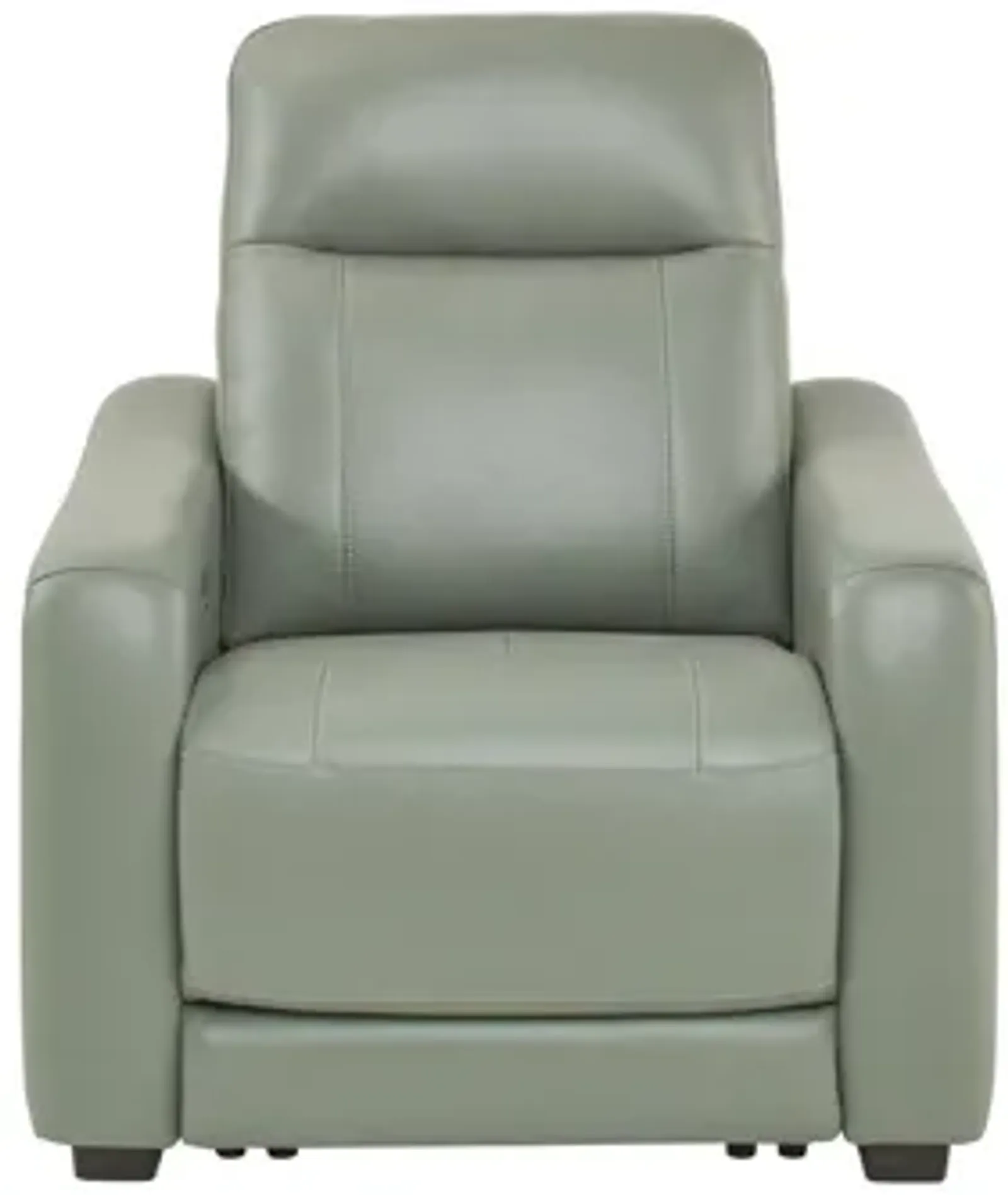 Newport Leather Power Recliner