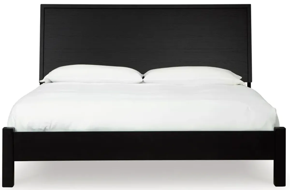 Danziar Queen Panel Bed