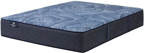 Perfect Sleeper Harvest Moon Firm King Mattress