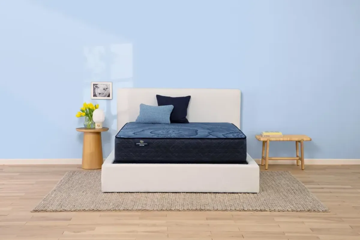 Perfect Sleeper Blue Moon Medium Twin Mattress