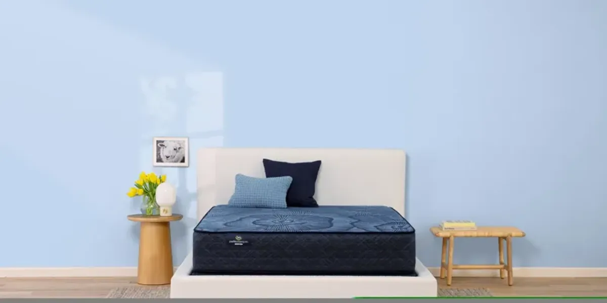 Perfect Sleeper Blue Moon Medium Twin XL Mattress