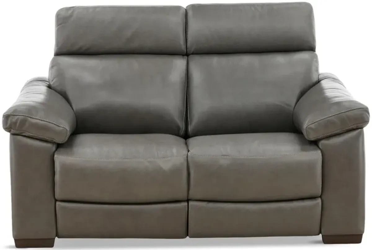 Estremo Leather Power Reclining Loveseat