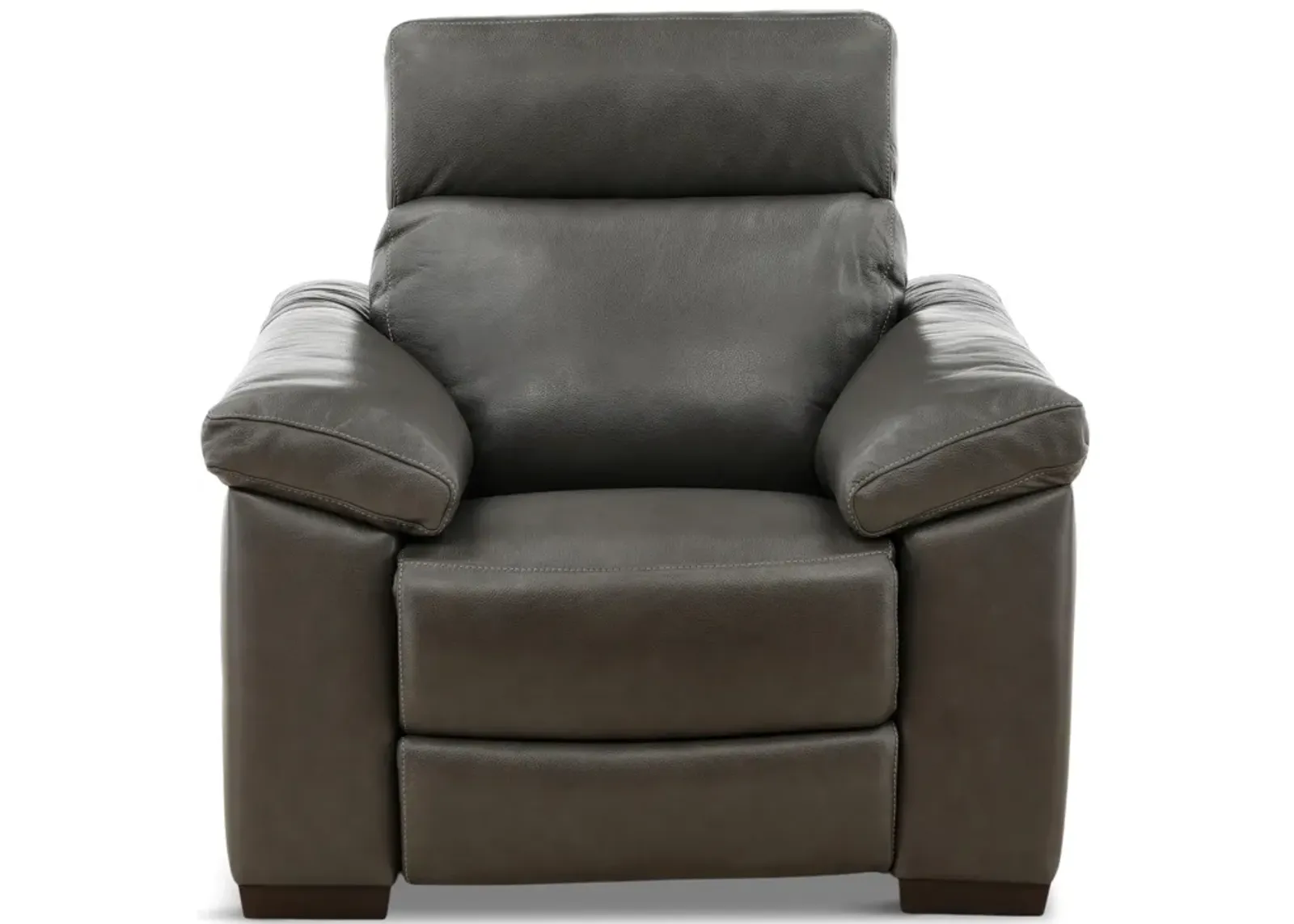 Estremo Leather Power Recliner