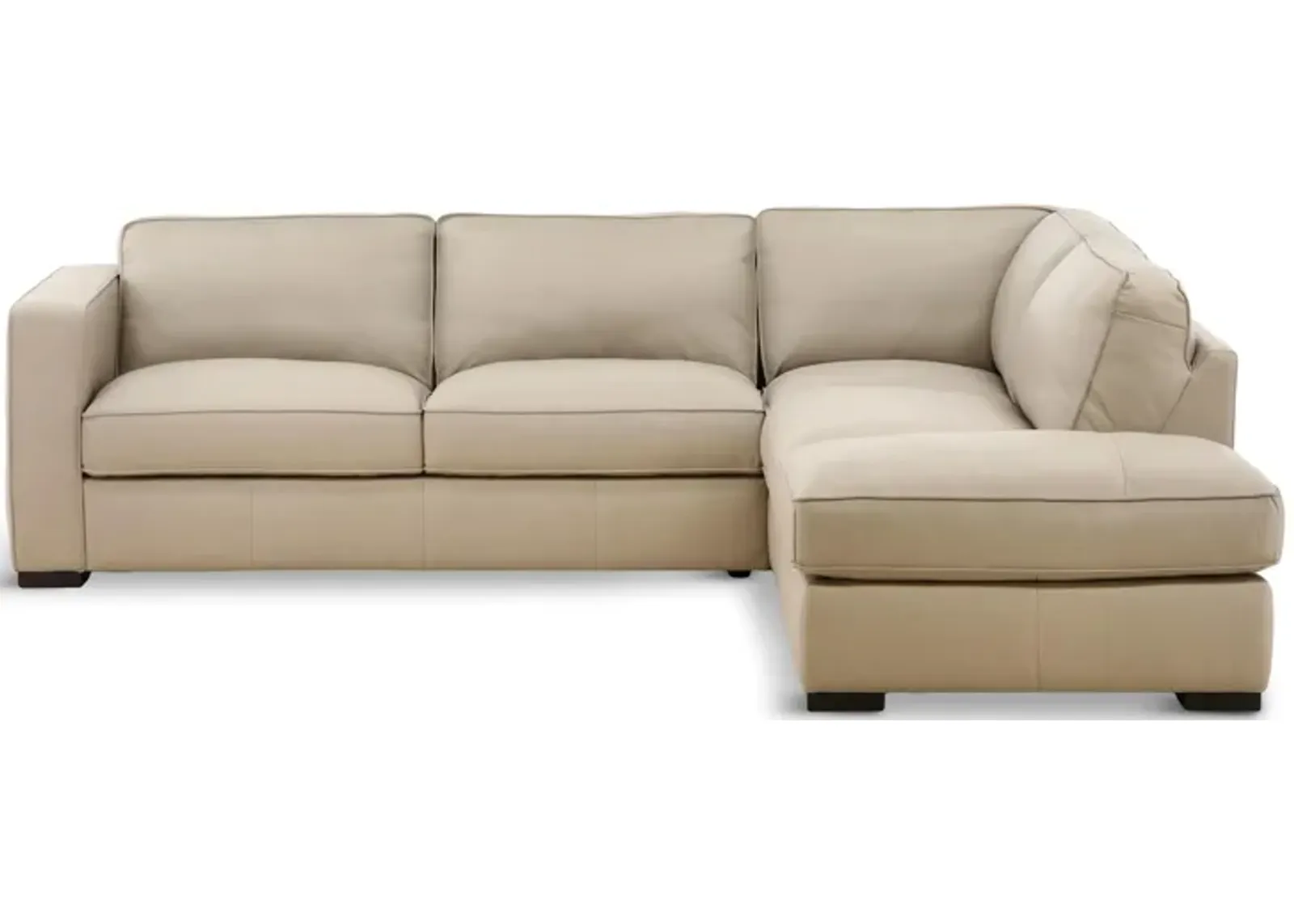 Copenhagen 2-Piece Leather Sectional with Chaise