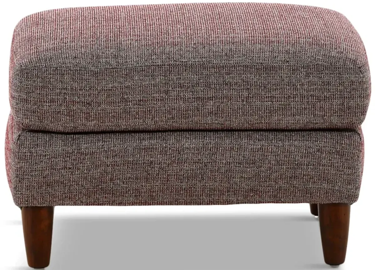 Cassida Ottoman