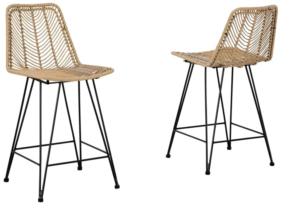 Angentree Counter Height Bar Stool (Set of 2)