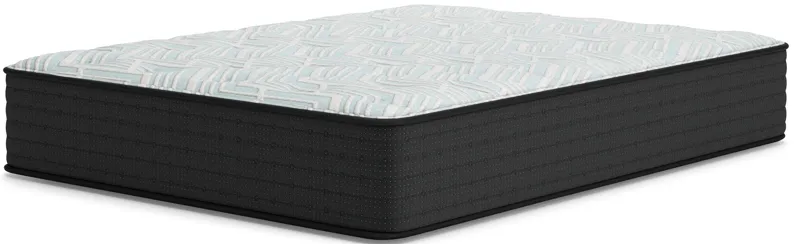 Palisades Plush Full Mattress