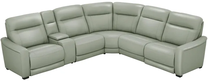 Newport 6-Piece Leather Power Reclining Sectional