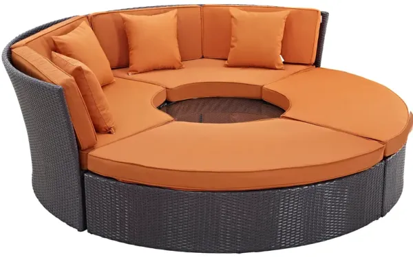 Convene Circular Outdoor Patio Daybed Set by Modway Espresso Orange
