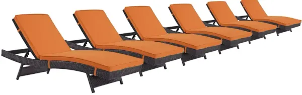 Convene Chaise Outdoor Patio Set of 6 by Modway Espresso Orange